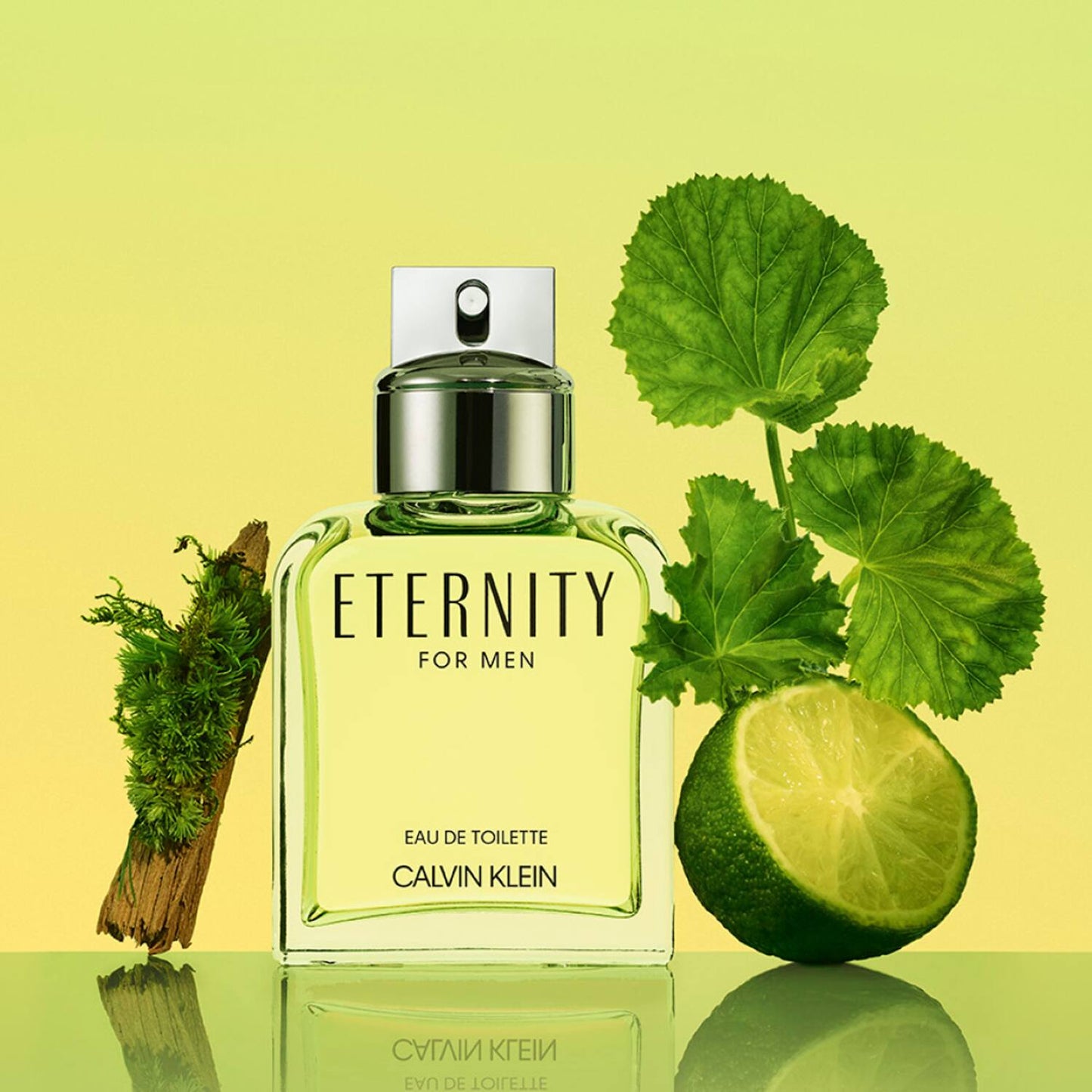 Calvin Klein Eternity Eau De Toilette (100ml)