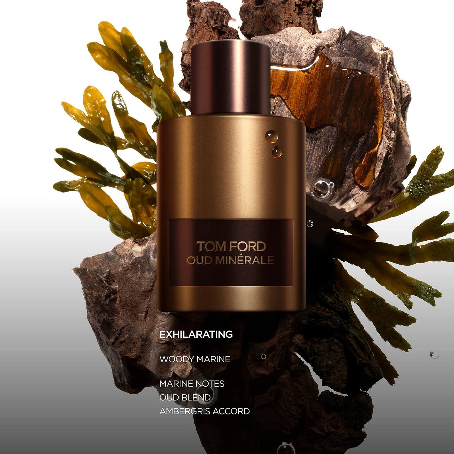 Tom Ford Oud Minerale Eau De Parfum (100ml)