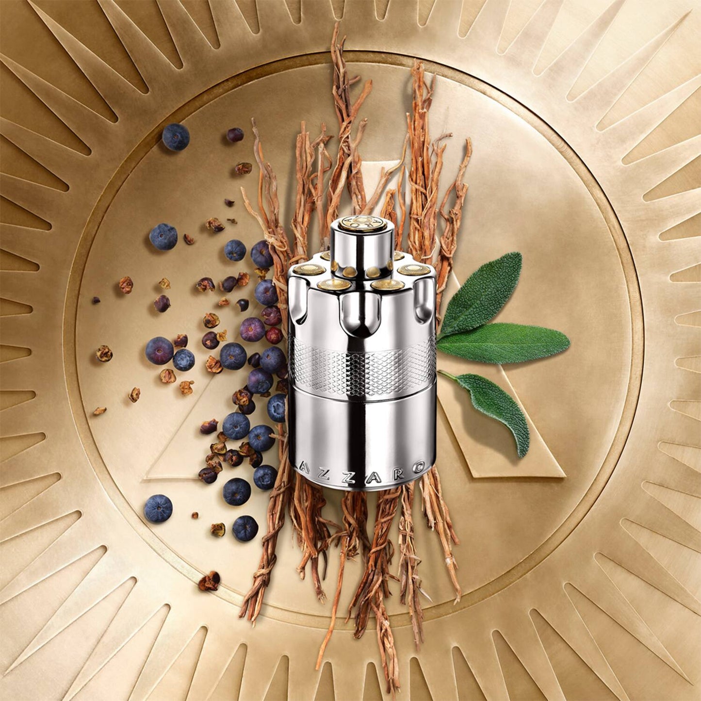 Azzaro Wanted EDP (100ml)