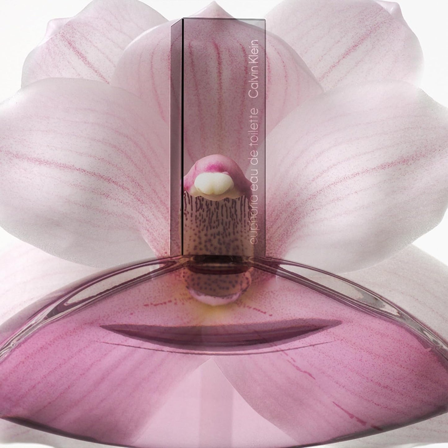 Calvin Klein Euphoria Eau de Toilette – Women's Gourmand Perfume – With Notes of Sparkling Plum, Orchid Accord & Warm Vanilla – Luxury Perfumes for Women – Long Lasting Fragrance