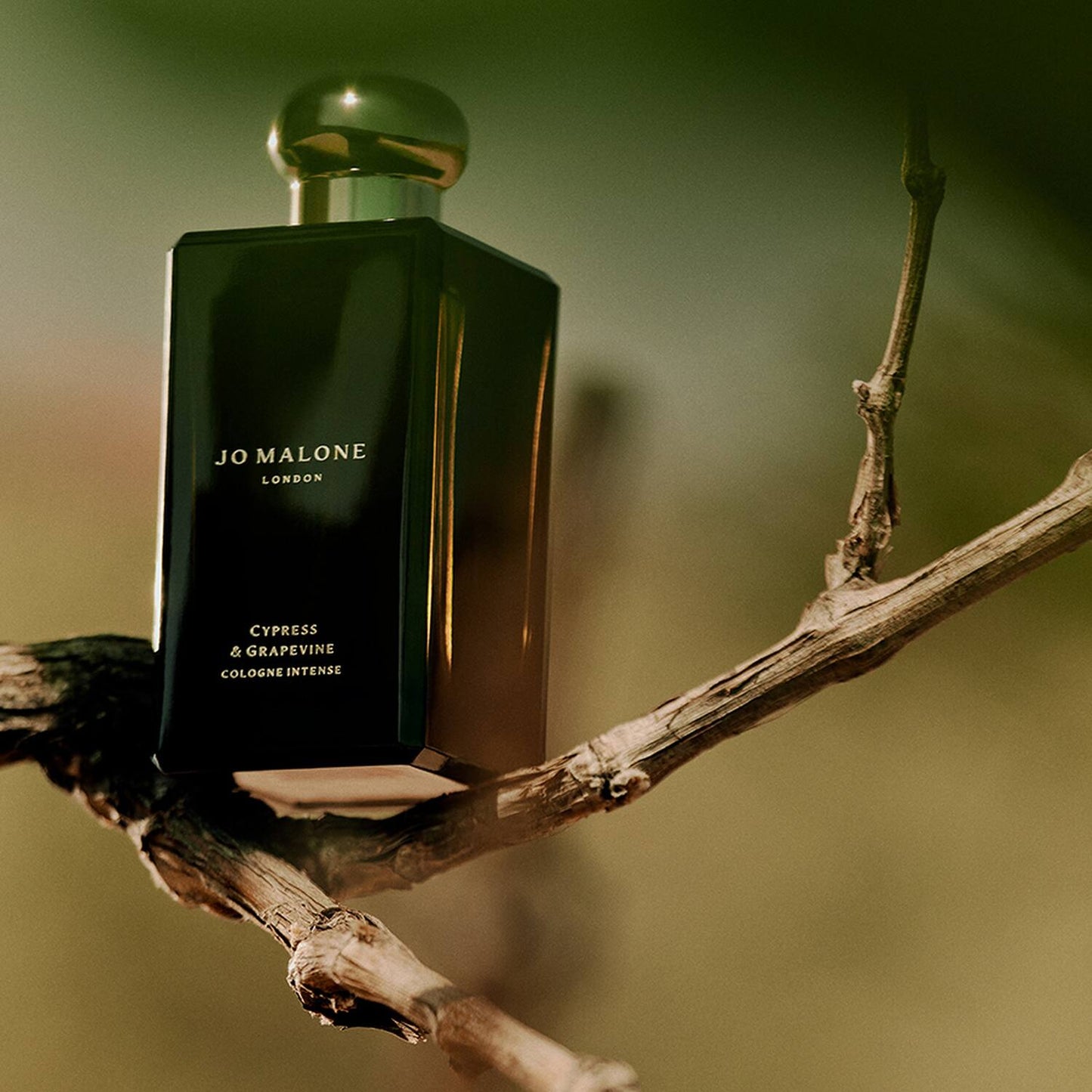 Jo Malone London Cypress & Grapevine Cologne Intense (100ml)
