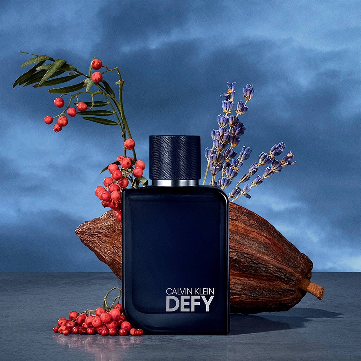 Calvin Klein Defy Parfum For Men - For Him Male Perfume (100 ml)