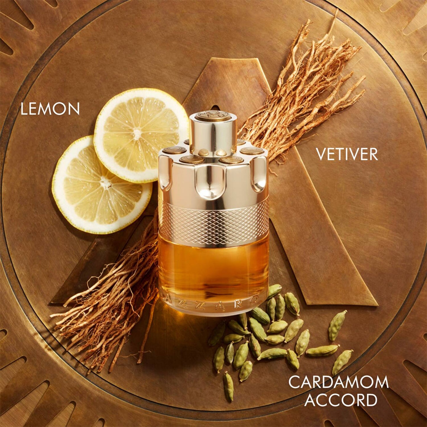 Azzaro Wanted Eau De Toilette (100ml)