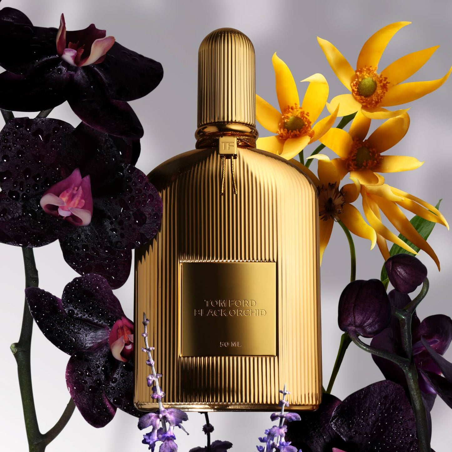 Tom Ford Black Orchid Parfum (100ml)