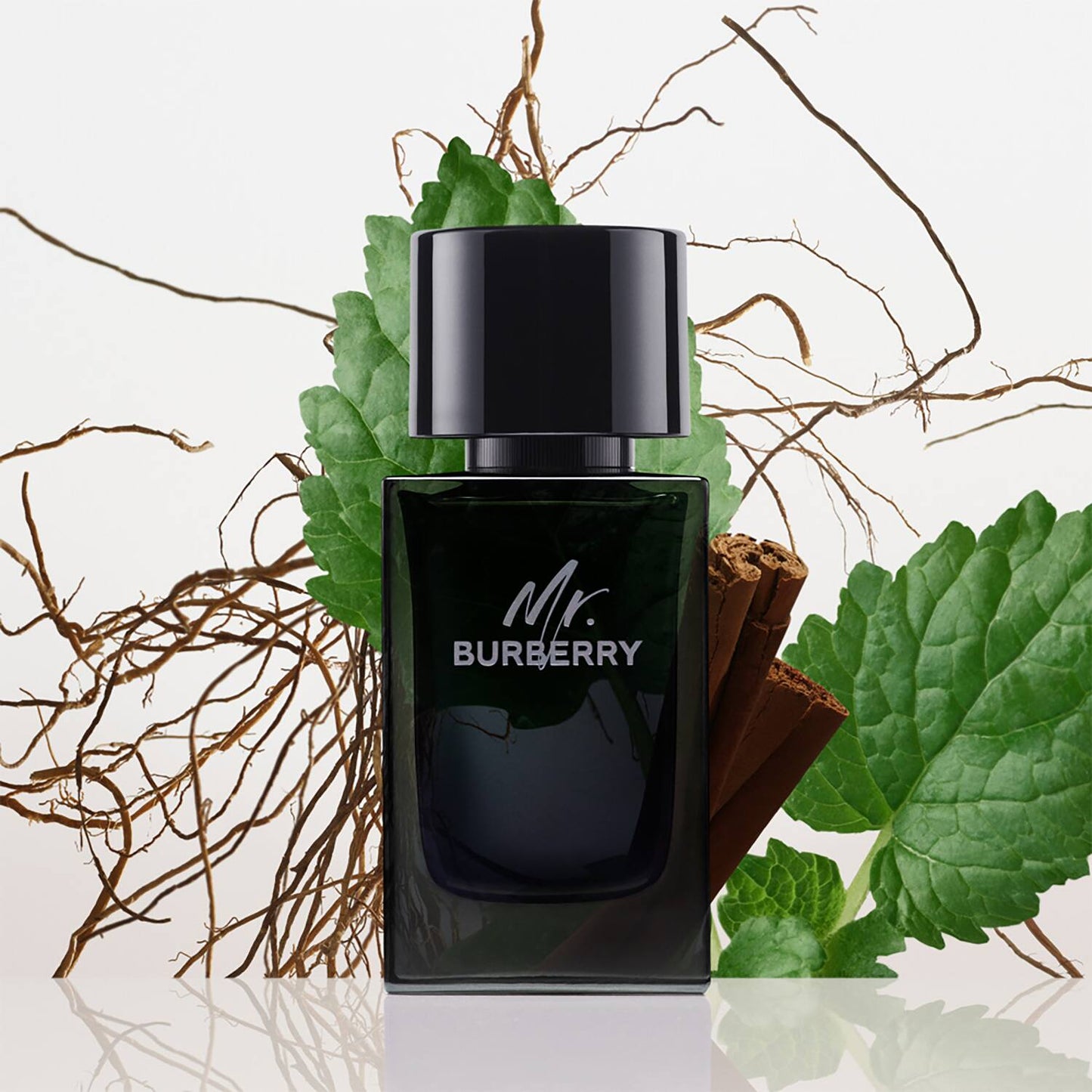 Burberry Mr. Burberry Eau De Parfum (100ml)