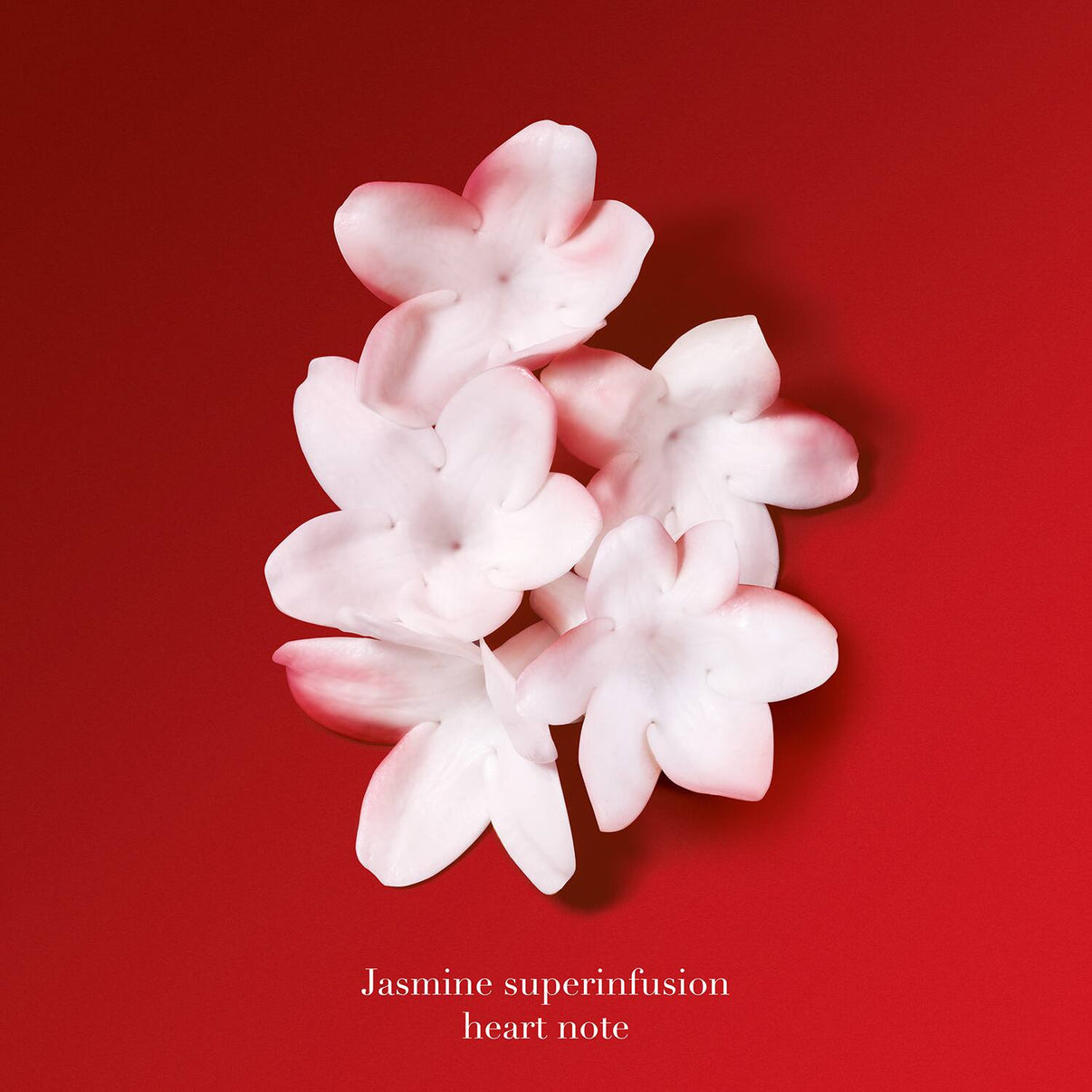 Armani Si Passione Intense Eau de Parfum (100 ml)