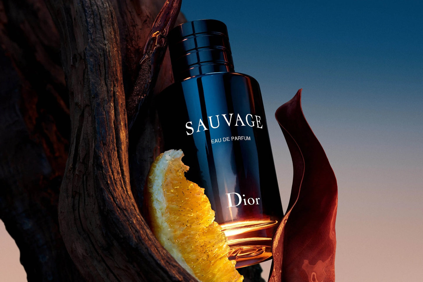 Dior Sauvage for Men, Eau de Parfum Spray