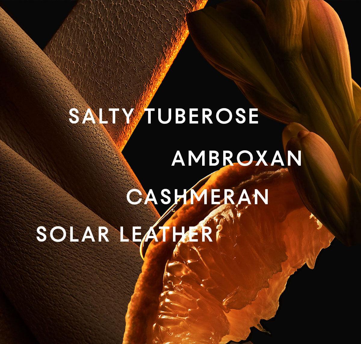 1 Million Royal by Paco Rabanne for Men Parfum