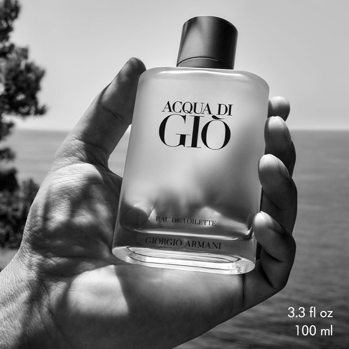 Armani Beauty - Acqua di Giò - Eau de Toilette