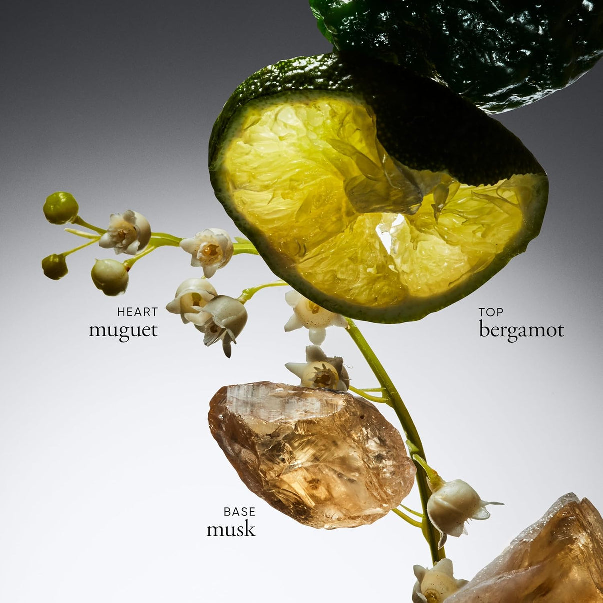 philosophy amazing grace eau de parfum