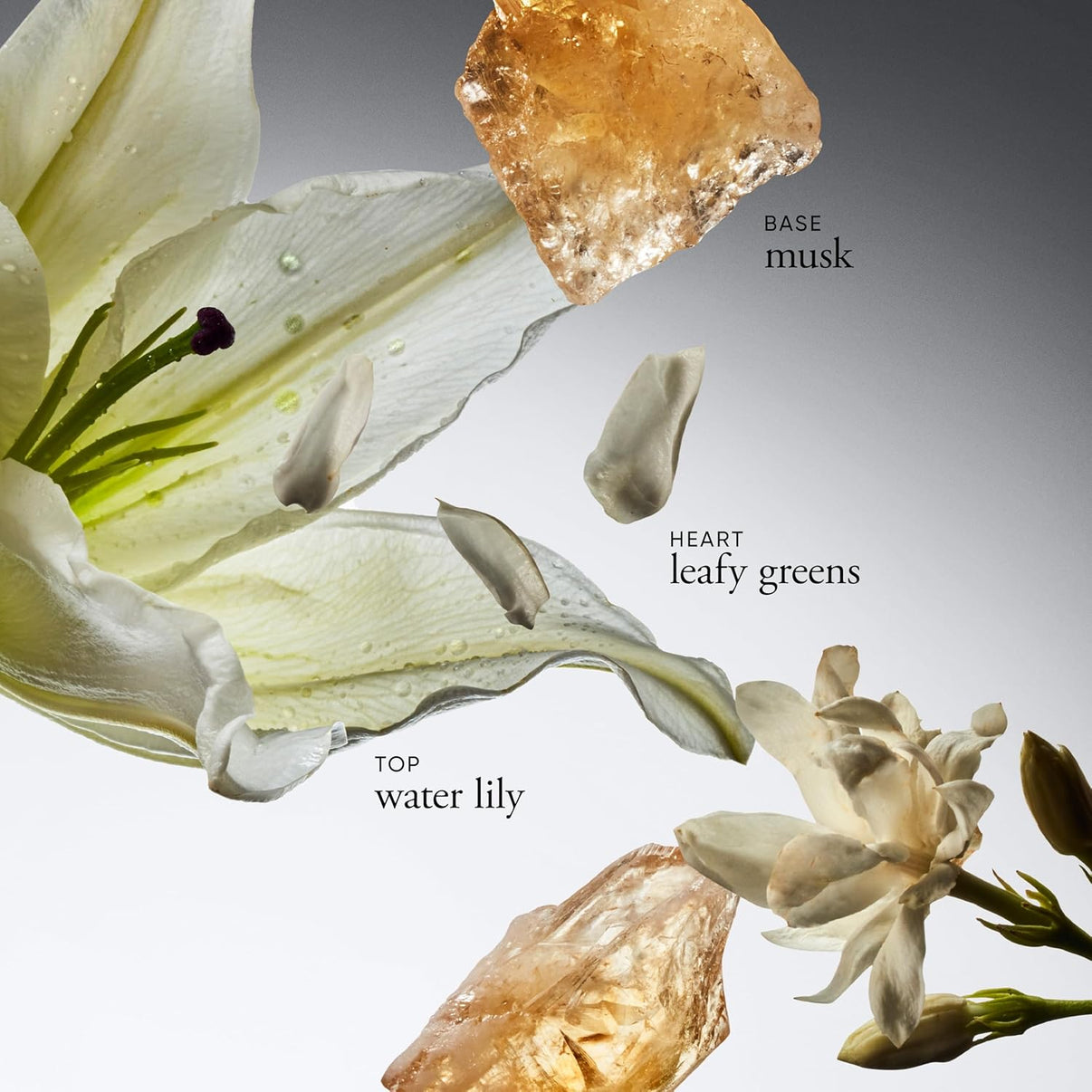 philosophy pure grace eau de parfum