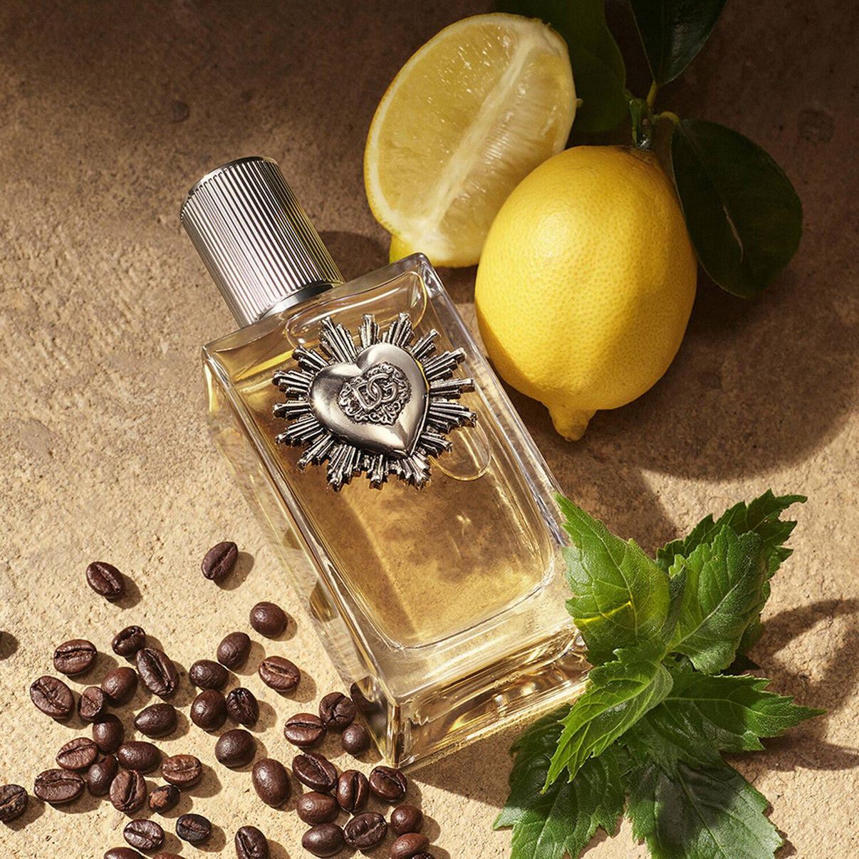 Dolce&Gabbana Devotion Eau De Parfum For Men (100 ml)