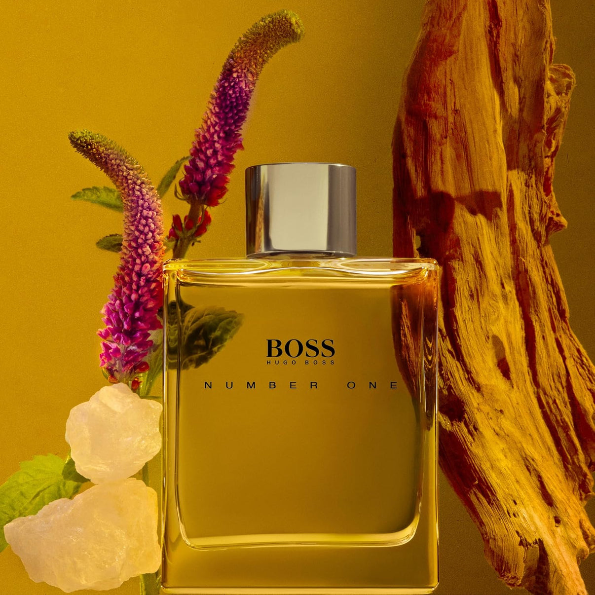 Hugo Boss Selection – Fougère Men's Cologne – Long Lasting Fragrance
