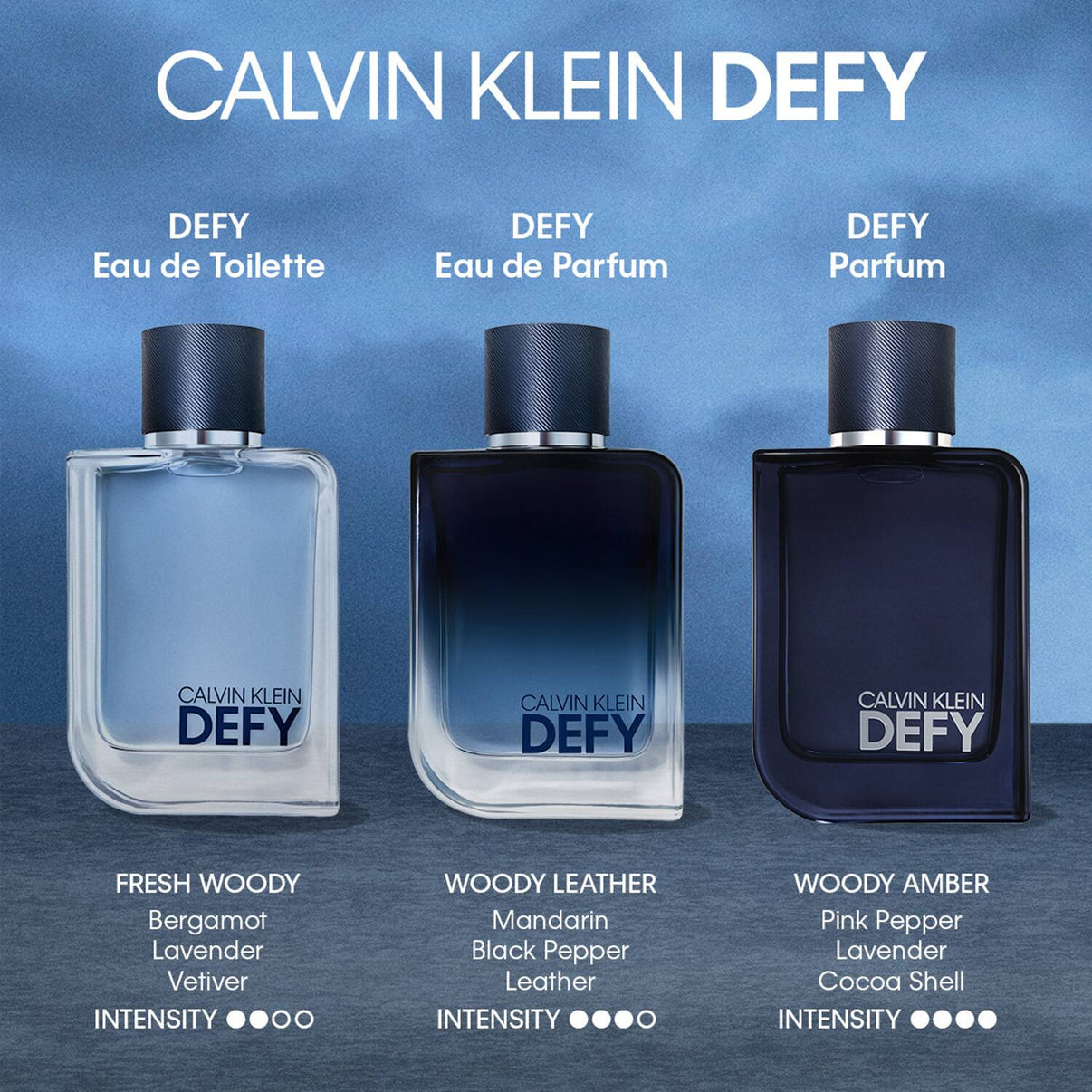 Calvin Klein Defy Parfum For Men - For Him Male Perfume (100 ml)