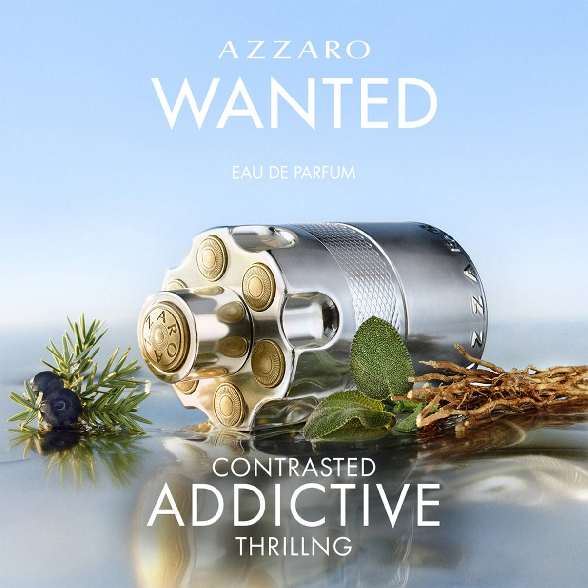 Azzaro Wanted EDP (100ml)