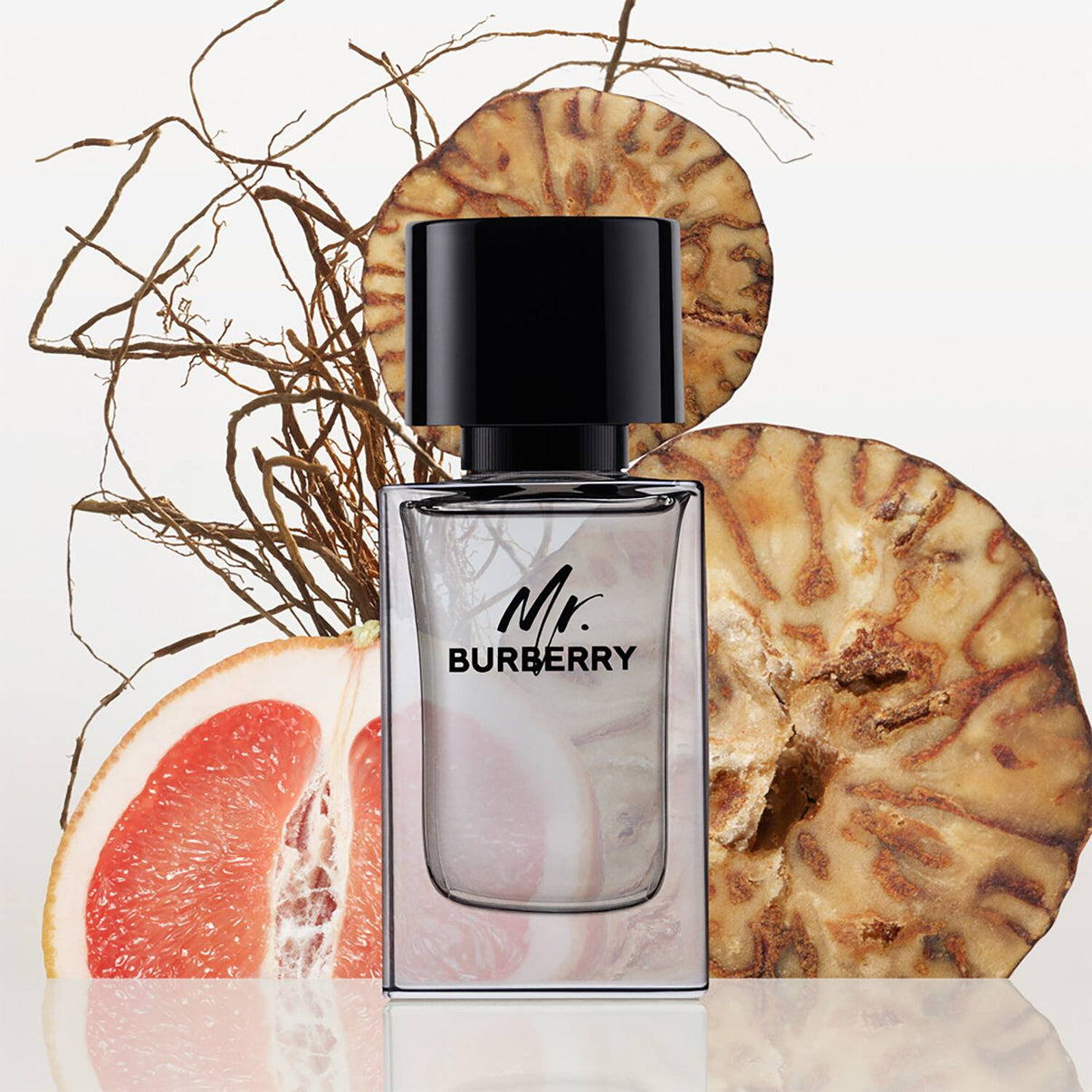 Burberry Mr. Burberry Eau De Toilette (100ml)