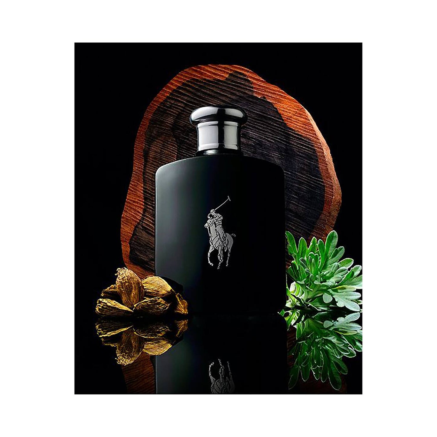 RALPH LAUREN FRAGRANCES - Polo Black - Eau de Toilette