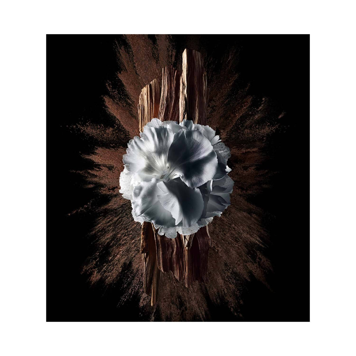 Givenchy Gentleman Society Extrême Eau De Parfum (60 ml)