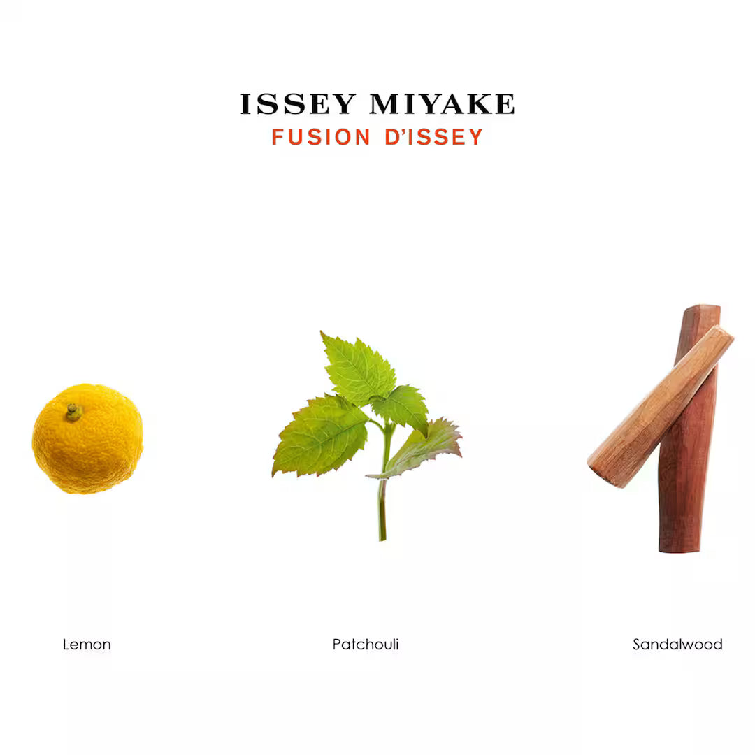 Issey Miyake Fusion d'Issey EDT (100 ml)