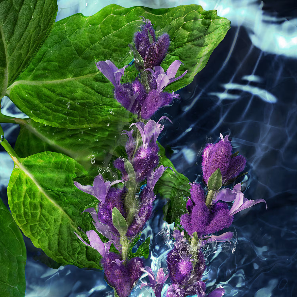 Davidoff Cool Water Eau de Toilette