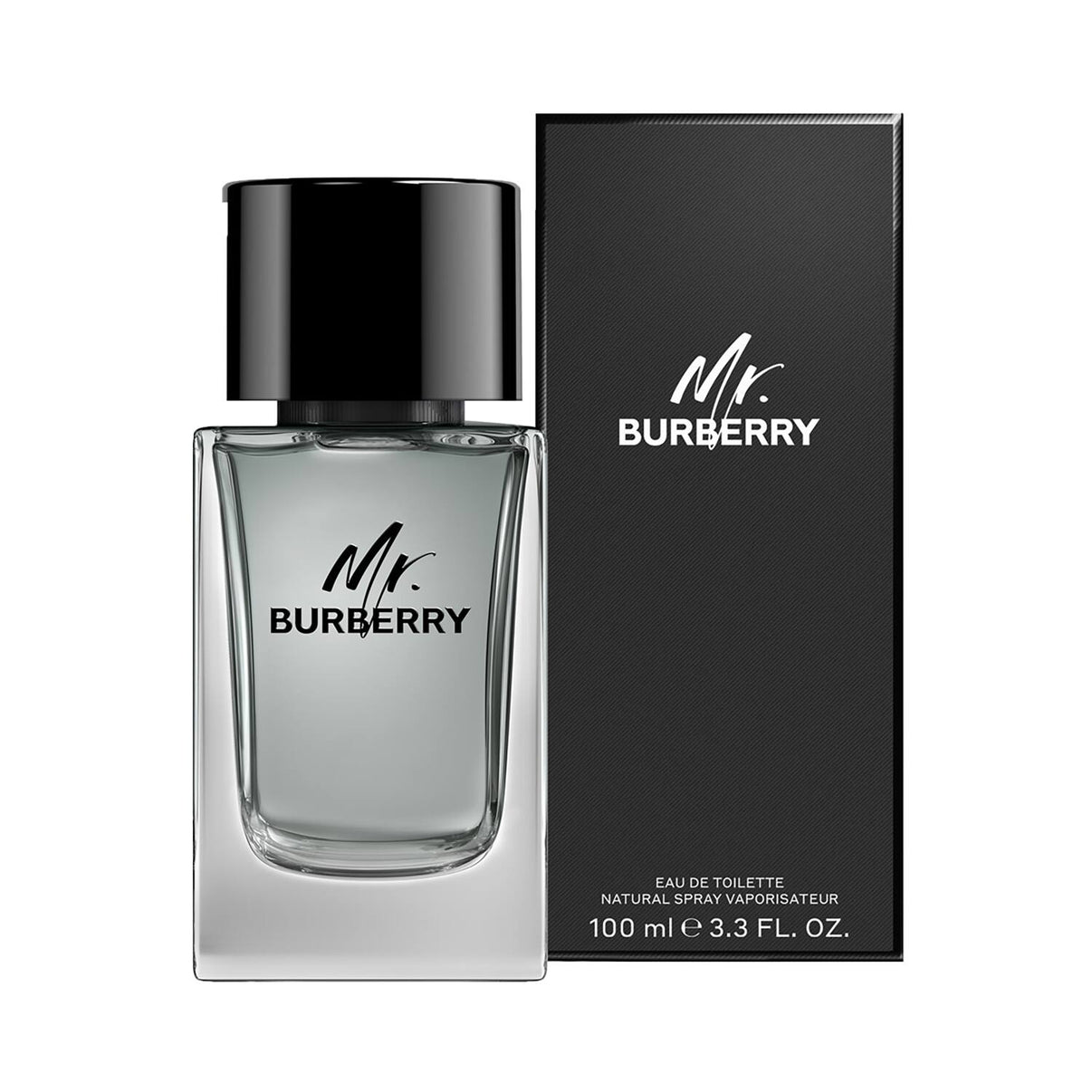 Burberry Mr. Burberry Eau De Toilette (100ml)