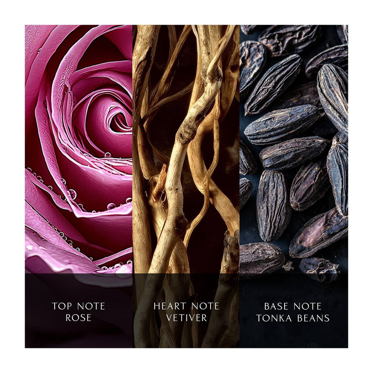 DAVIDOFF Cool Water Reborn Eau de Parfum Intense for Women (100 ml)