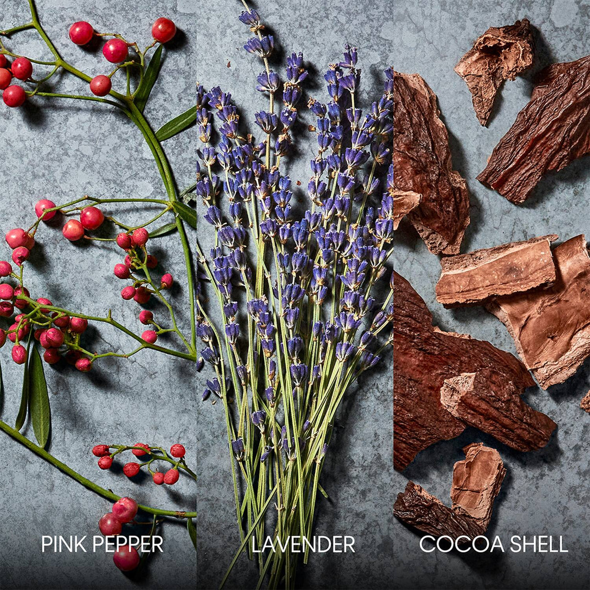 Calvin Klein Defy Parfum For Men - For Him Male Perfume (100 ml)