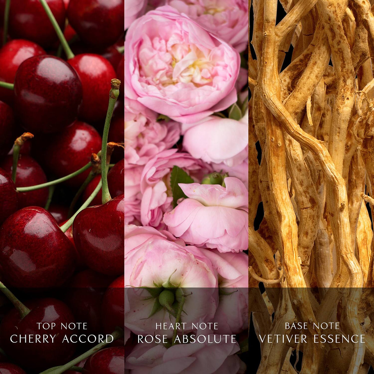 DAVIDOFF Cool Water Reborn Eau De Parfum For Her (100ml)