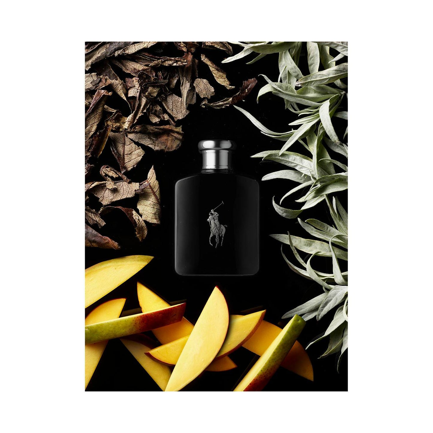 RALPH LAUREN FRAGRANCES - Polo Black - Eau de Toilette