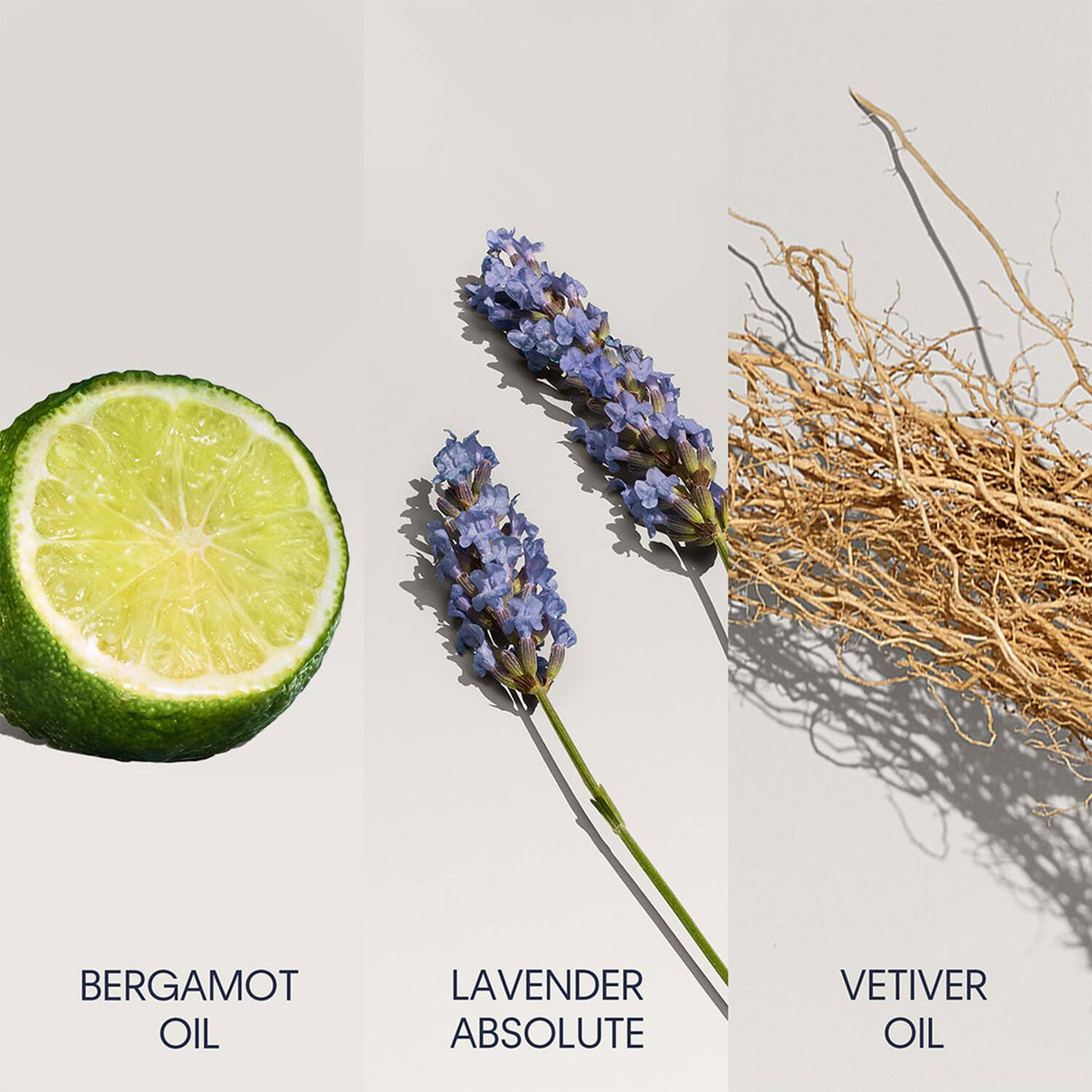 Calvin Klein Defy Eau De Toilette For Men - EDTFor Him Male Perfume (100 ml)