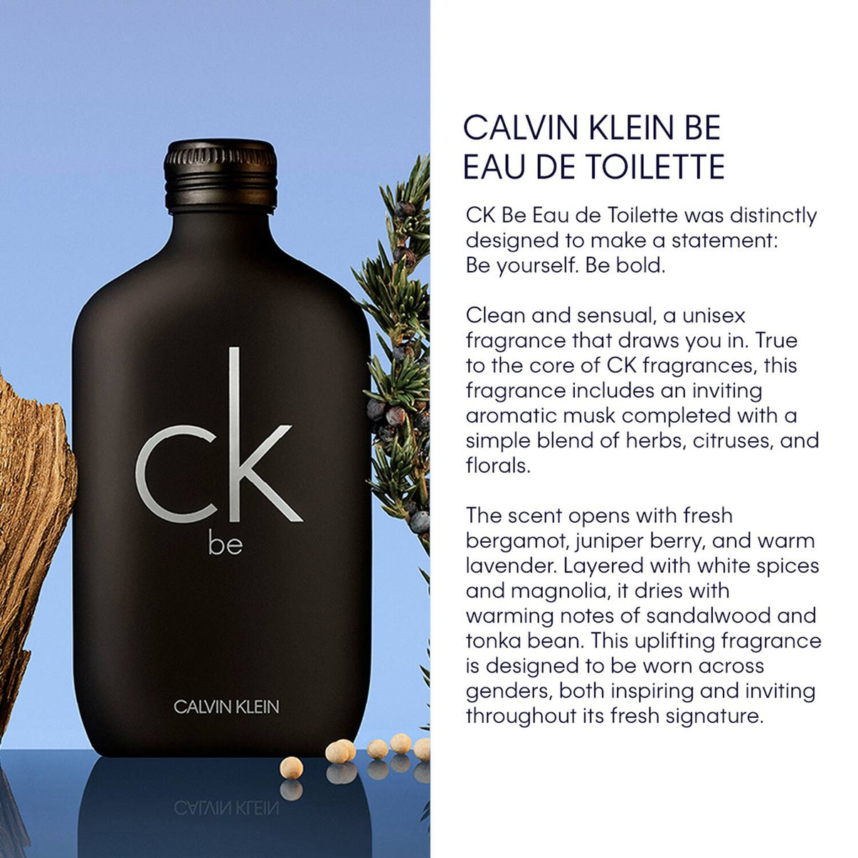 Calvin Klein Ck Be Eau De Toilette - EDT For Everyone Unisex Perfume (100 ml)