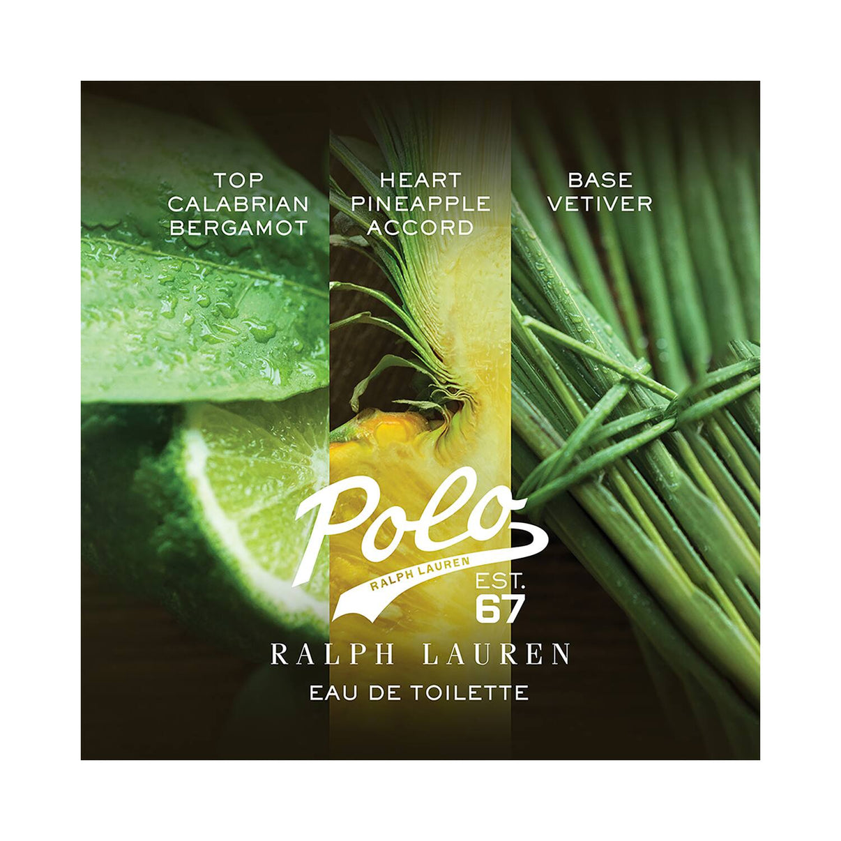 RALPH LAUREN FRAGRANCES - Polo 67 - Eau de Toilette